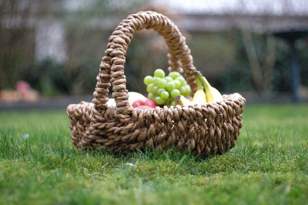 picnic
